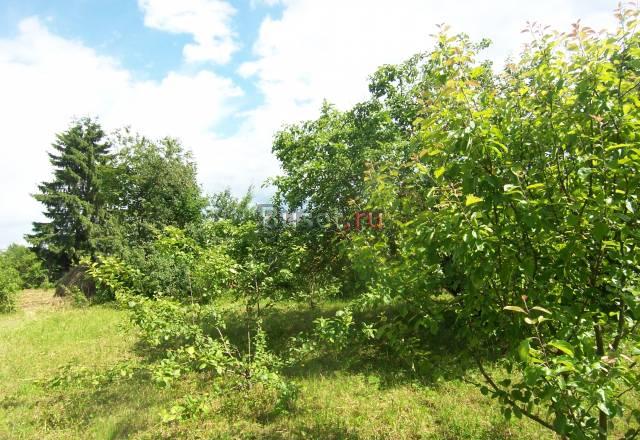 Участок в Ленинградской области Санкт-Петербург