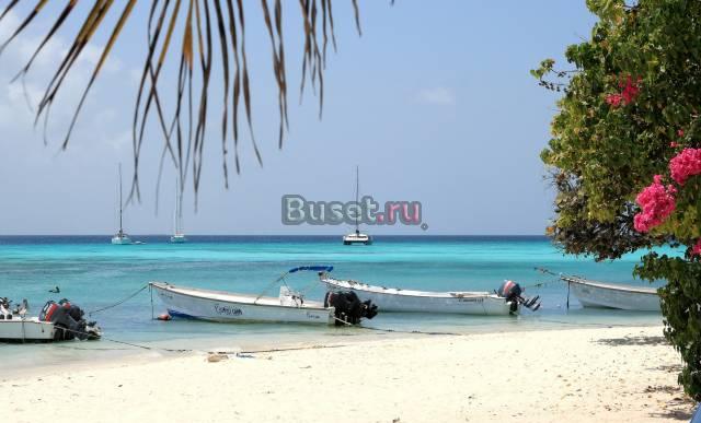 Красота и лето Москва