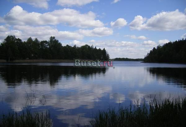 2участка по 50с.+1га на 1л.оз.Селигер,д.Остров Великий Новгород