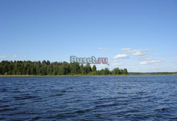 Участок 3га на 1 линии озера Селигер Великий Новгород
