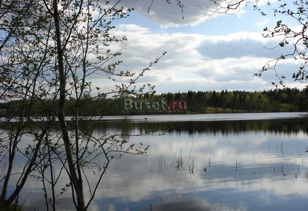 Участок 1,5га на 1л.оз.Гнильское, с.Полново Великий Новгород