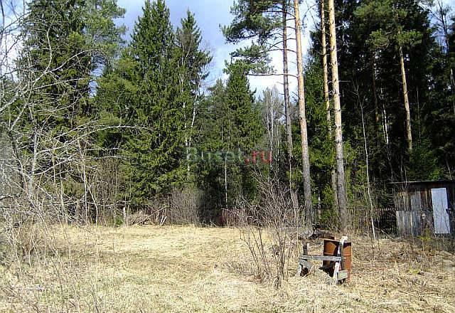 Ленинградское шоссе 47 км от МКАД  Головково Москва