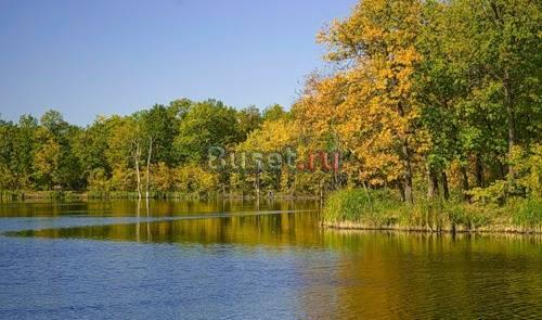 Продаю участок под дачное строительство, 45 км от Раменское