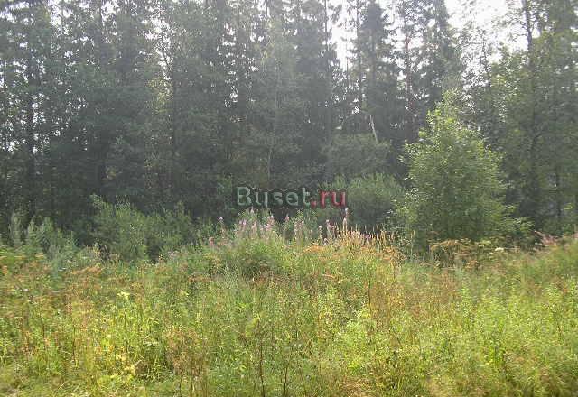 Участок 9сот.ижс Выборг 6км, М10-200м,граница-25км Выборг