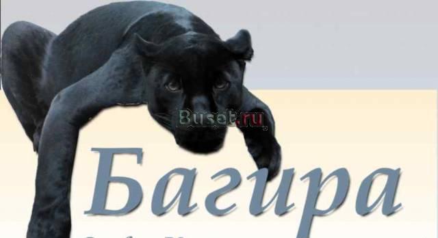 Реклама для малого бизнеса Москва