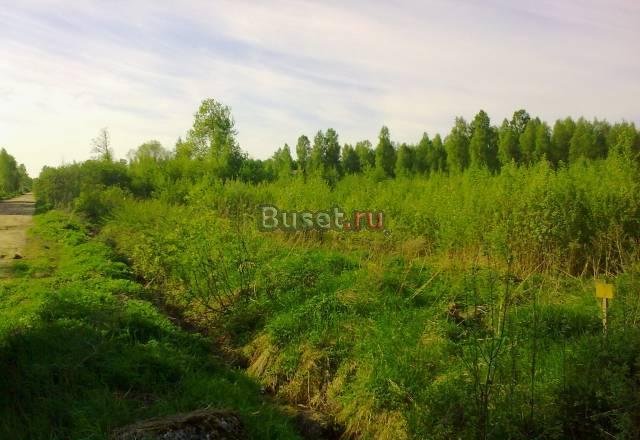 Синявино 1. Сад-во Маяк 13 соток. Прямая продажа Санкт-Петербург