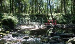 Земельный участок под индивидуальное строительство Выборг