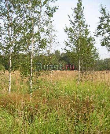 Участок 12 соток в м.о. для пмж с пропиской и реч Москва