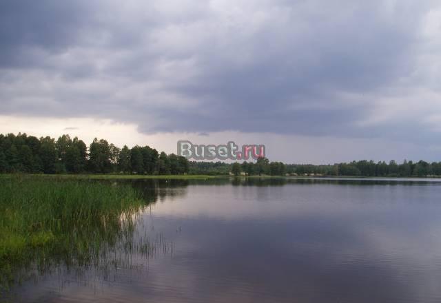 Берег озера 50 соток ижс Невель
