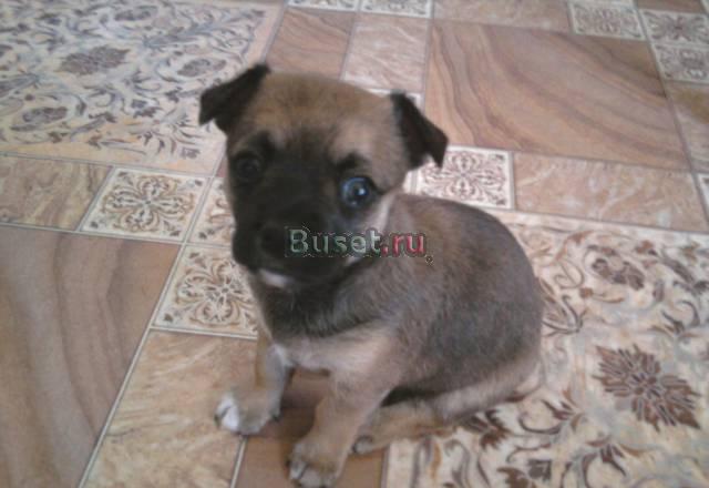 Продаю Саратов