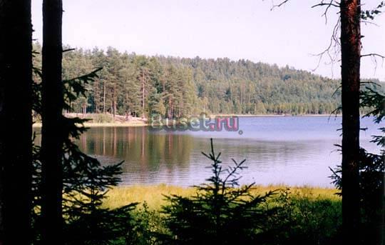 Участок 10 соток у Пасторского озера Санкт-Петербург