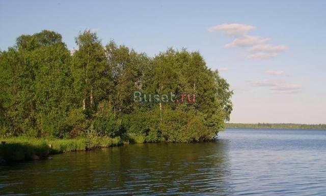 Мичуринское, Приозерский район, участок 10 га Приозерск