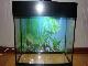 Продам аквариум 30л.+крышка+свет превью 4951 Продам аквариум 30л.+крышка+свет превью 4951.