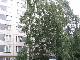 Превью Трехкомнатная квартира Москва - 2