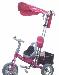 Велосипед Lexus Trike (лексус трайк) превью 101012 Велосипед Lexus Trike (лексус трайк) превью 101012.
