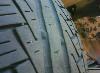 Превью Шины Pirelli P6 Four seasons 215/55 R16  2 шт Санкт-Петербург - 3