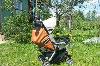 Превью Прогулочная коляска Peg-perego Aria Мытищи - 2