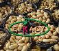 Превью Картофель из Египта (Potatoes from Egypt) Москва - 2