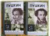 Пушкин 2 тома, жзл превью 113605.