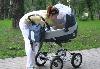 Превью Каляска Inglesina Sofia на шасси ergo bike Москва - 1