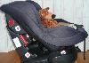 Превью Автокресло изофикс 0-18 кг. сидя-полулежа Москва - 1