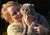 Превью Развязка недотрог Опытный британский кот повяжет Москва - 1