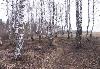 Превью Дом на берегу озера, 100 км., Горьковское ш Москва - 3