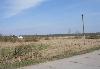 Превью 530 соток в п.Житково Санкт-Петербург - 3