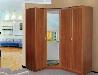 Превью Шкафы-купе по вашим размерам Москва - 1