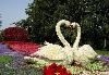 Превью Зверушки из цветов Москва - 3