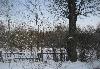 Превью Участок возле леса в Апрелевке Москва - 1