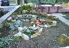 Превью Дача для отдыха Пермь - 3
