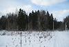 Превью У леса 10 соток 100 км от МКАД по Киевскому ш Верея - 2
