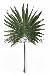 Искусственные пальмовые ветви превью 140578.