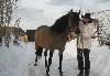 Продам башкирских лошадей элит класса превью 155847.