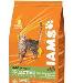 Iams-корм для кошек и котят 10кг.Низкая цена превью 164622.