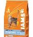 Превью Iams-корм для кошек и котят 10кг.Низкая цена Москва - 1