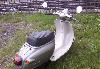 Превью Honda giorno Москва - 1