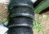 Зимние шипованые шины Bridgestone WT-14 185/65 R15 превью 167956.