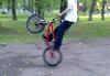 BMX Mongoose 6000p.+торг превью 174063 BMX Mongoose 6000p.+торг превью 174063.