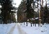 Превью Мельничный Ручей,участок ижс-30сот.сосны Всеволожск - 2