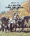 Б.Камбегов Коневодство и коннозаводство России превью 185852.