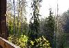 Превью Сдаётся флигель или 1-2 комнаты в большом доме в п Санкт-Петербург - 1