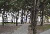 Превью Сдаётся в аренду коттедж у моря Геленджик - 3