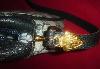Превью Gucci винтаж (оригинал) Москва - 2
