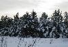 Превью Река, лес, озеро. пмж. Сосновый бор Переславль-Залесский - 1