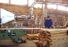 Превью Продам деревоперерабатывающий завод Москва - 3