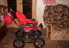 Превью Коляска Roan Marita 2в1 Москва - 1