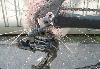Превью Rockrider 8.1 (новый) Москва - 4