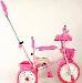 Велосипед детский ягуар 3 колесный розовый превью 223555.
